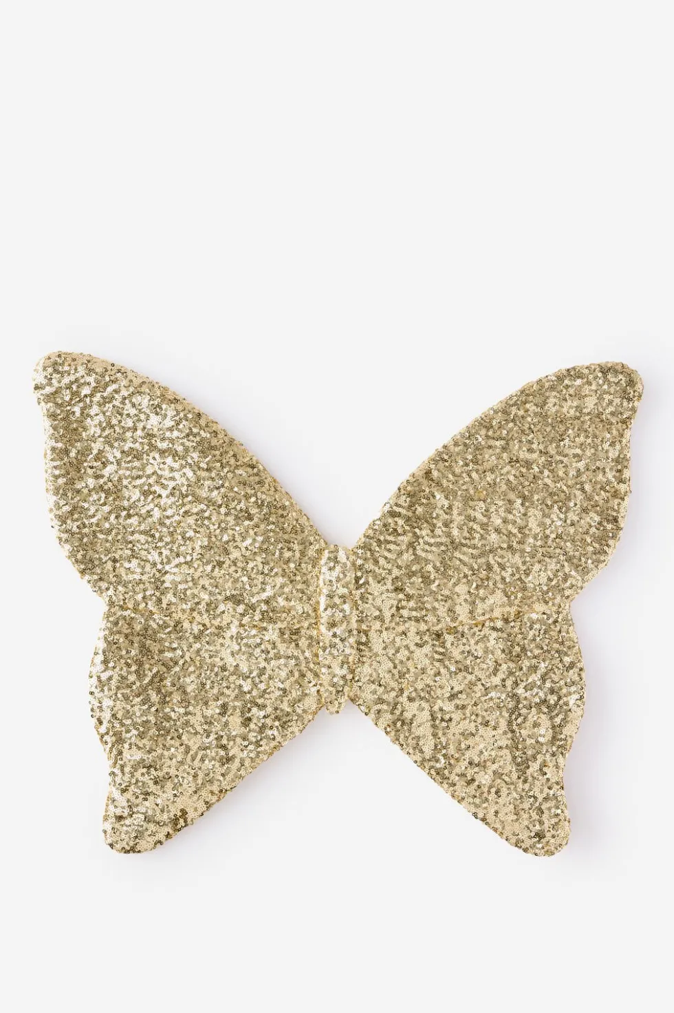 Kids Butterfly Wings