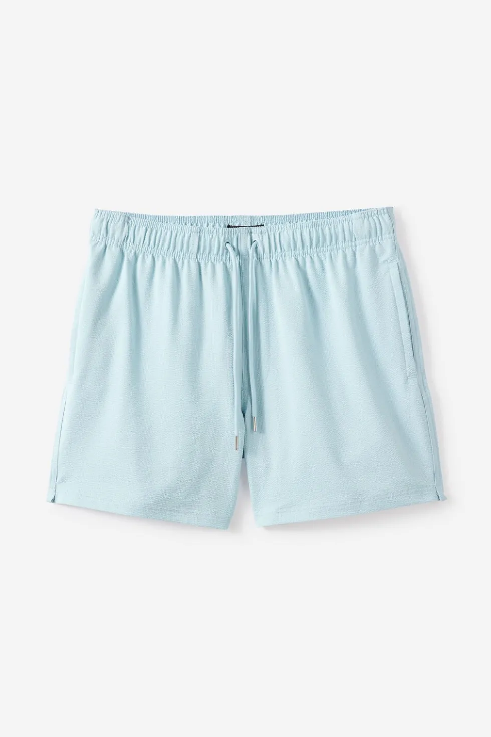 Stretch Swim Short